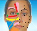 face_reflexology