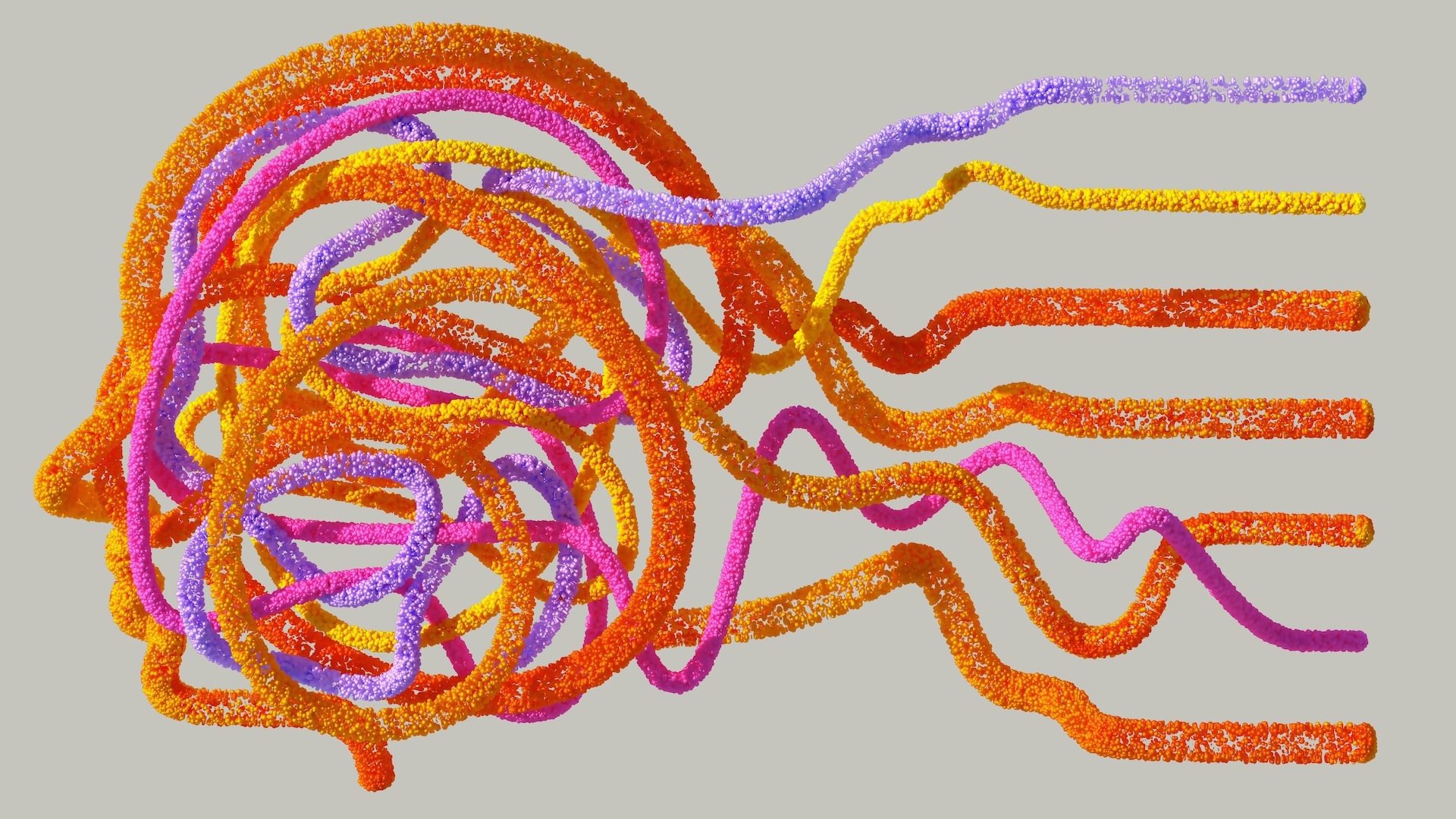 The Gut-Brain Axis: A Scientific Perspective