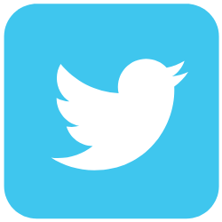 twitter logo 250